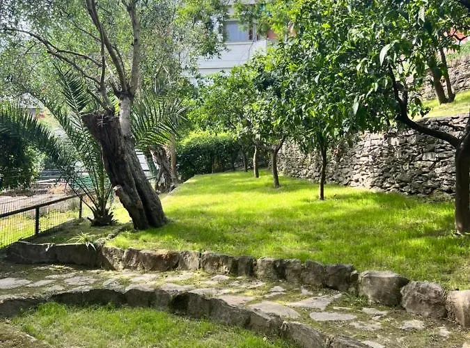 Blue Garden