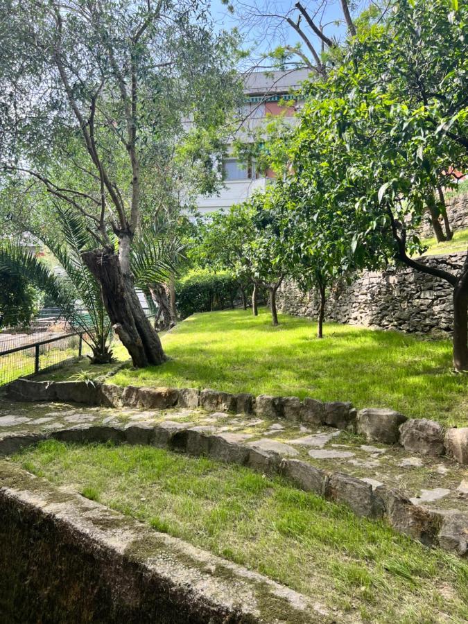 Blue Garden * Rapallo