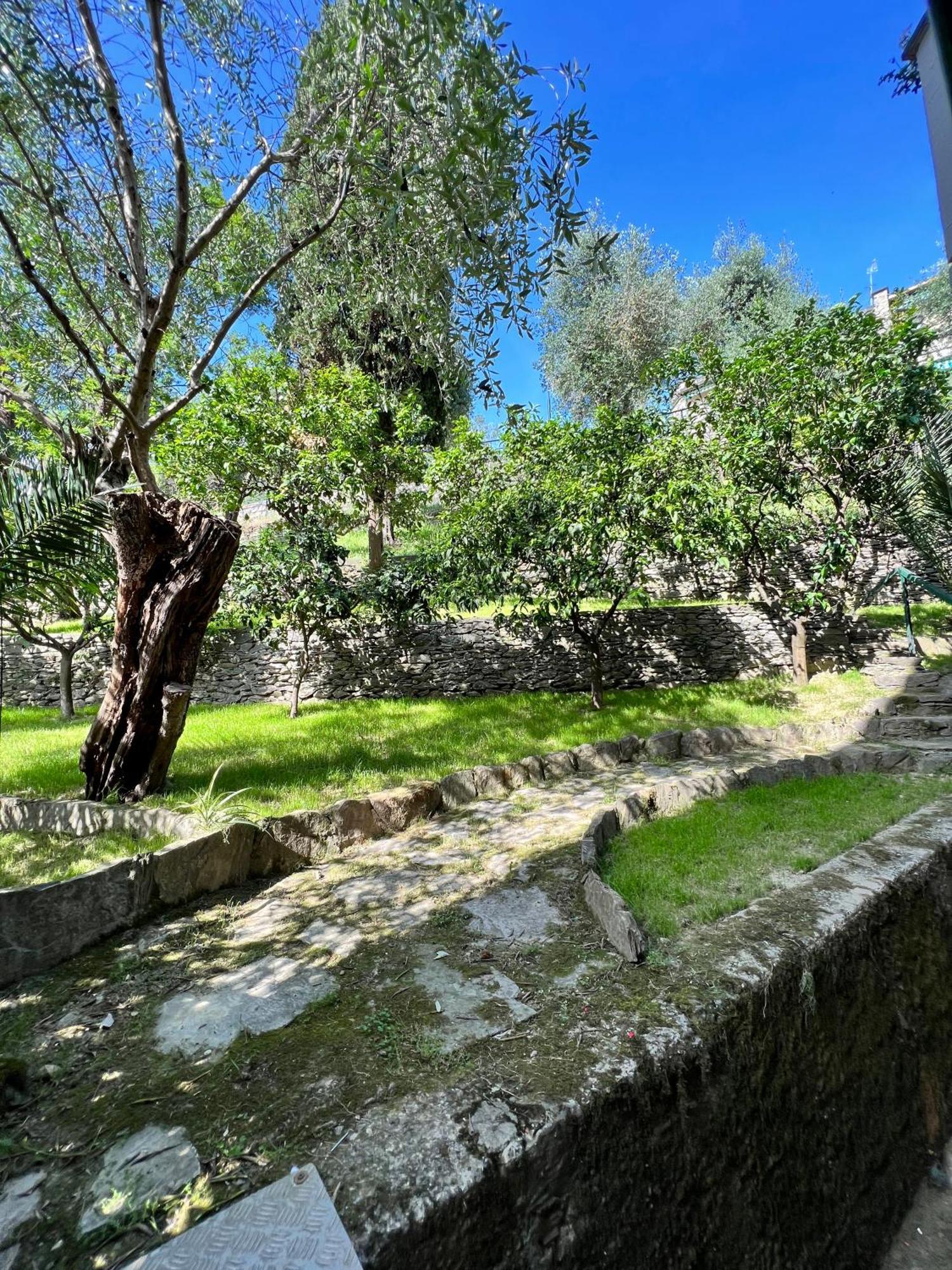 Blue Garden