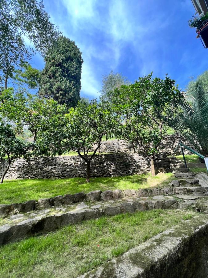 Appartamento Blue Garden *
